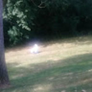 Meet your Posher, King da ra el 13